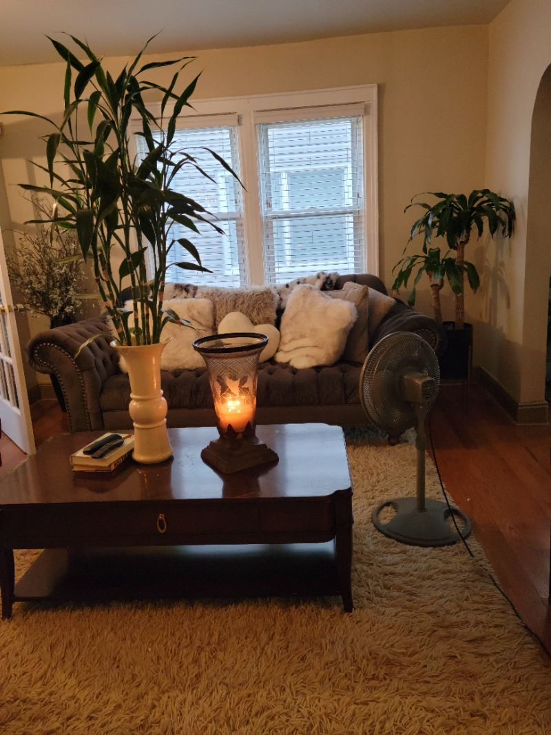 Beautiful Room near JFK - Photo 4