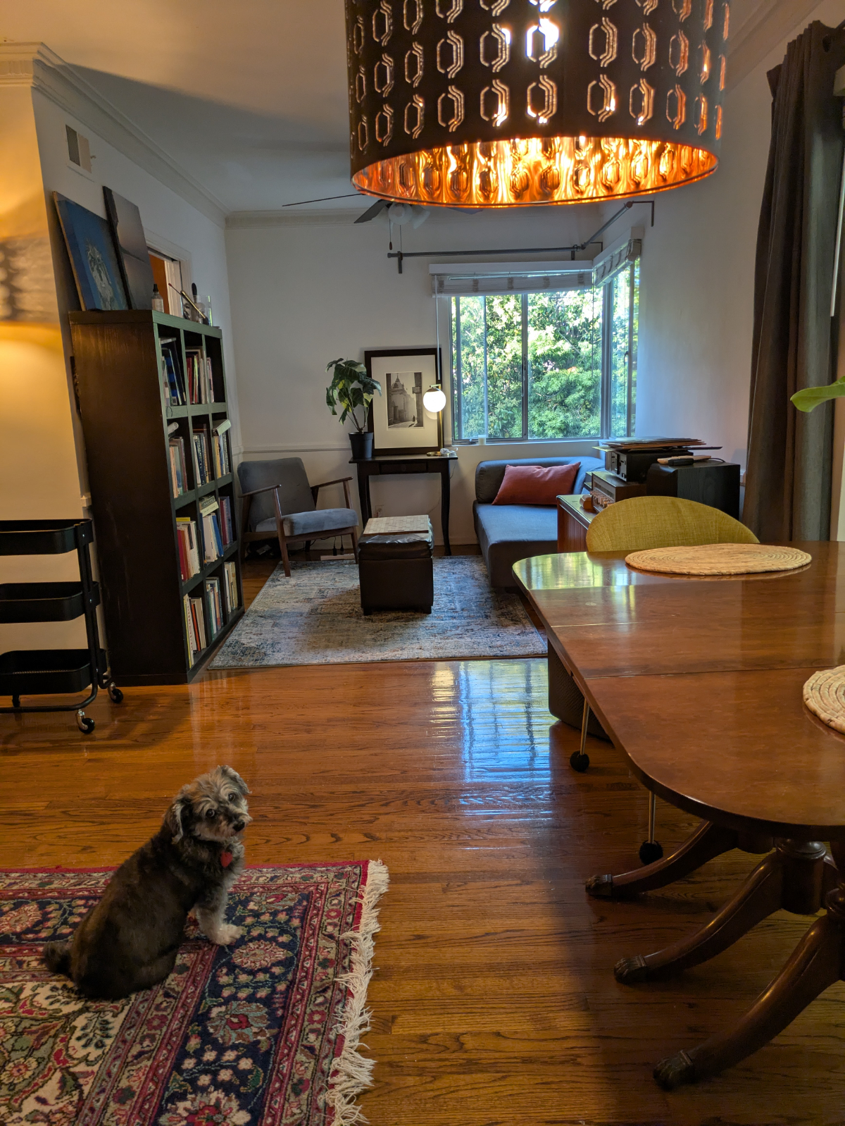 1 fully furnished bed and private bath in shared 2 bed/bath near UCLA, Cedar Sinai, Kaiser (West LA, Beverly Hills, Santa Monica) - Photo 5