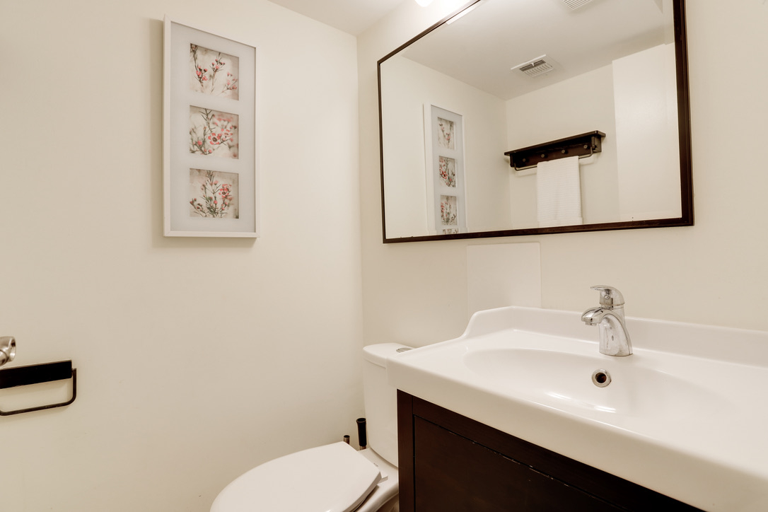 Beautiful Spacious Apartment in the heart of DC - Photo 12