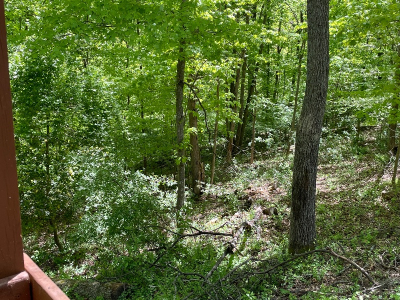 Eagles Rest - Photo 11