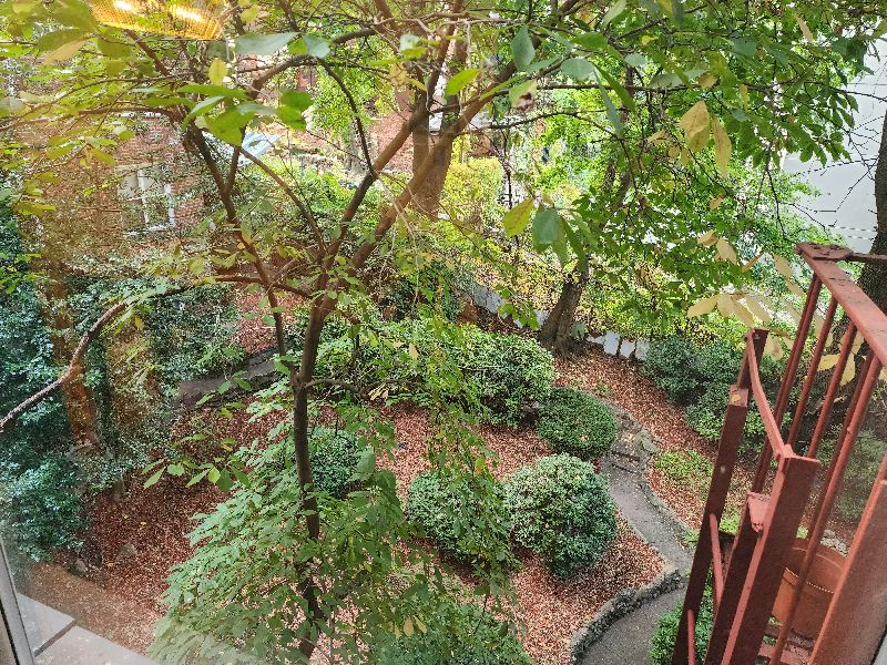Quiet, garden facing north Bronx apartment - Photo 12