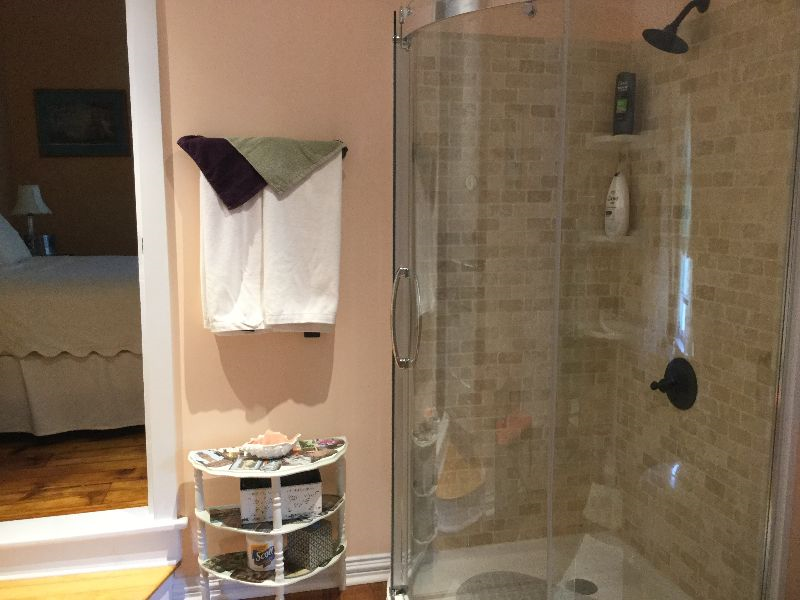 Furnished 1 BR apartment in Victorian BB - Photo 2
