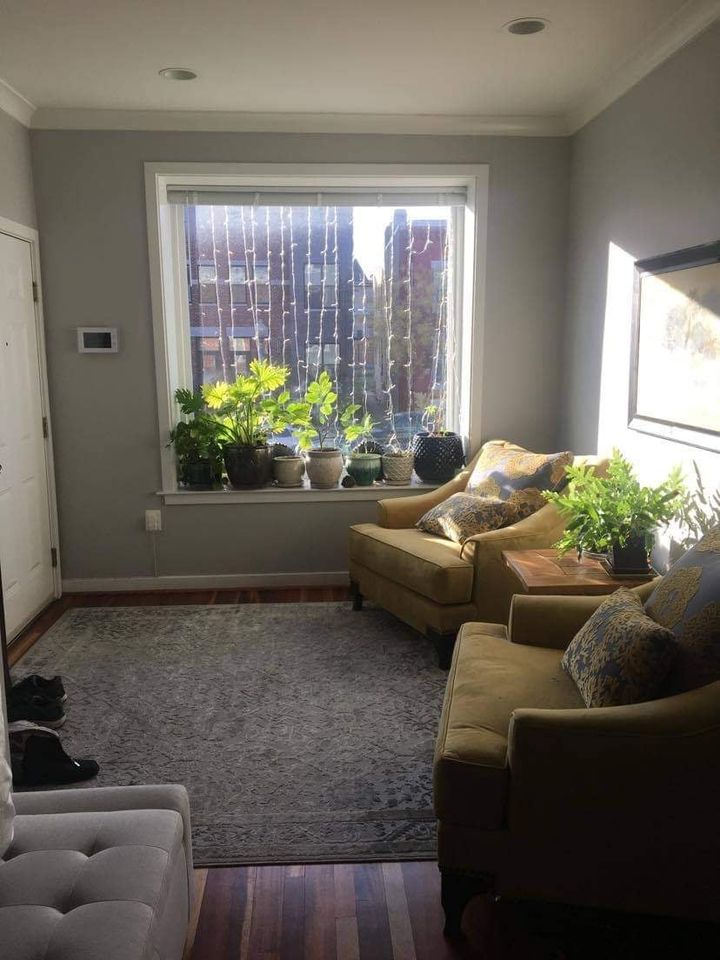 Furnished 3BR 2.5 BA in NW DC Rowhouse Available June - Photo 4