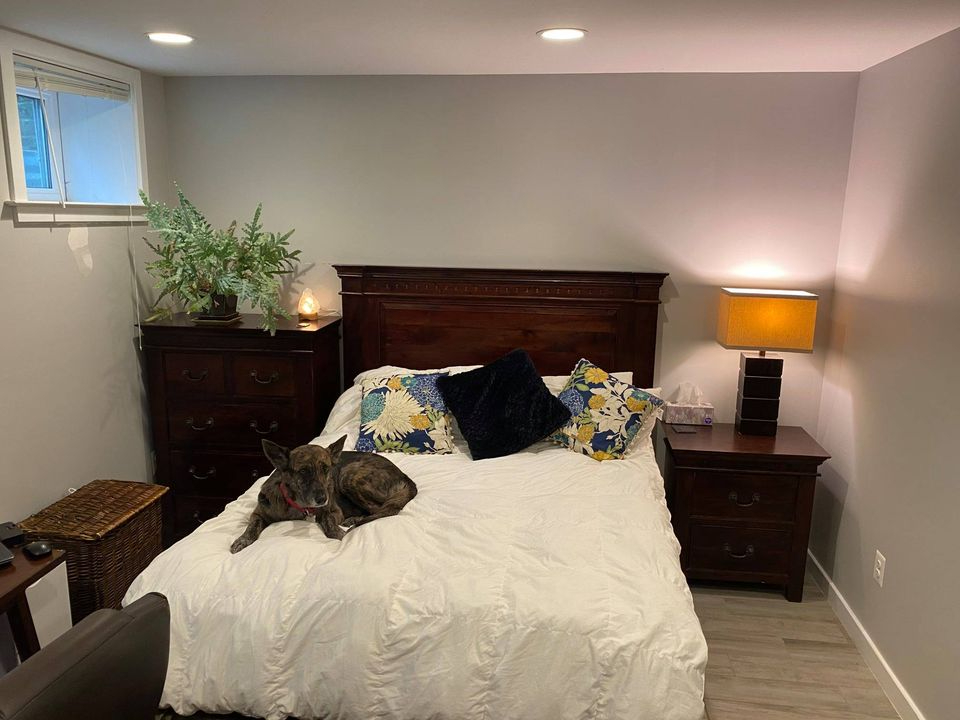 Furnished 3BR 2.5 BA in NW DC Rowhouse Available June - Photo 8