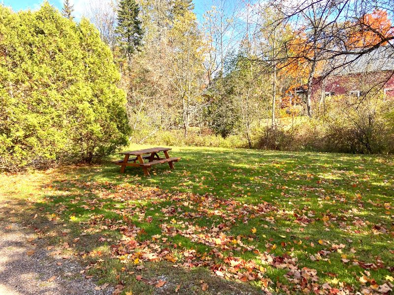 Convenient Williston Village 1 Bedroom - Photo 6