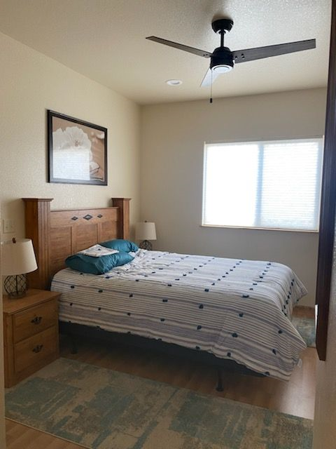 furnished one bedroom home - Photo 3