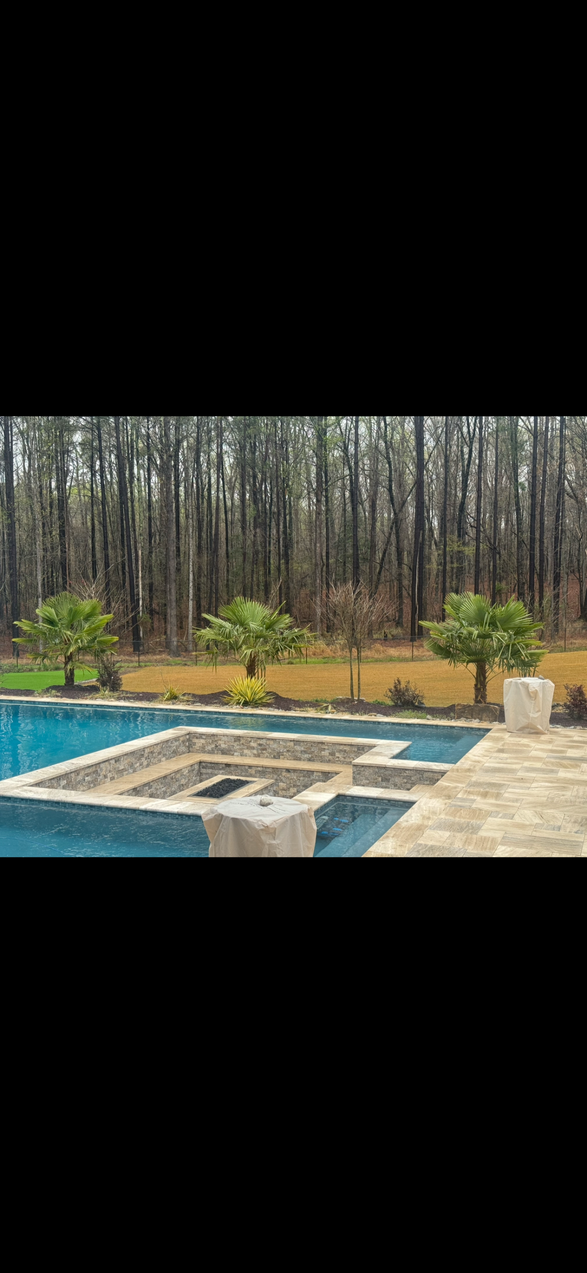 Serene Oasis