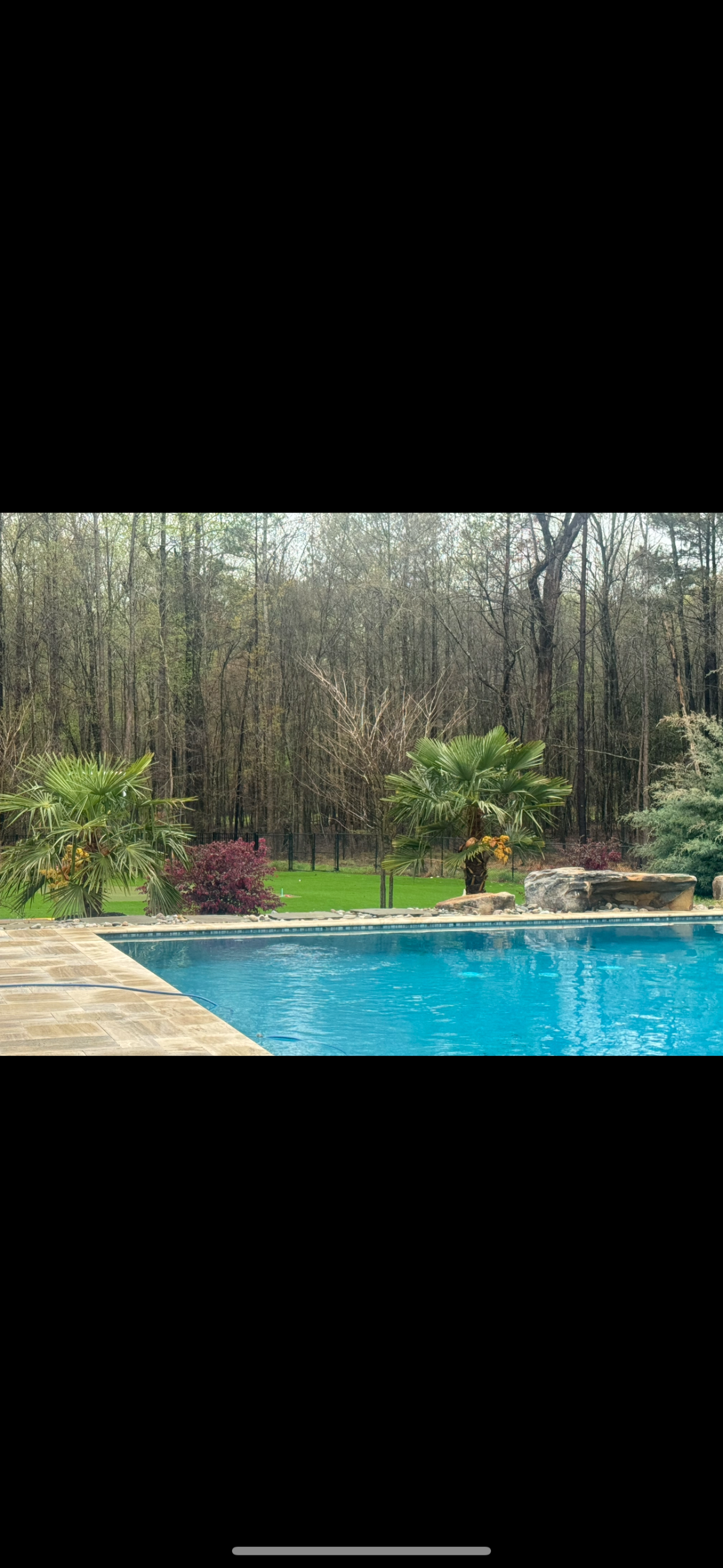 Serene Oasis - Photo 3