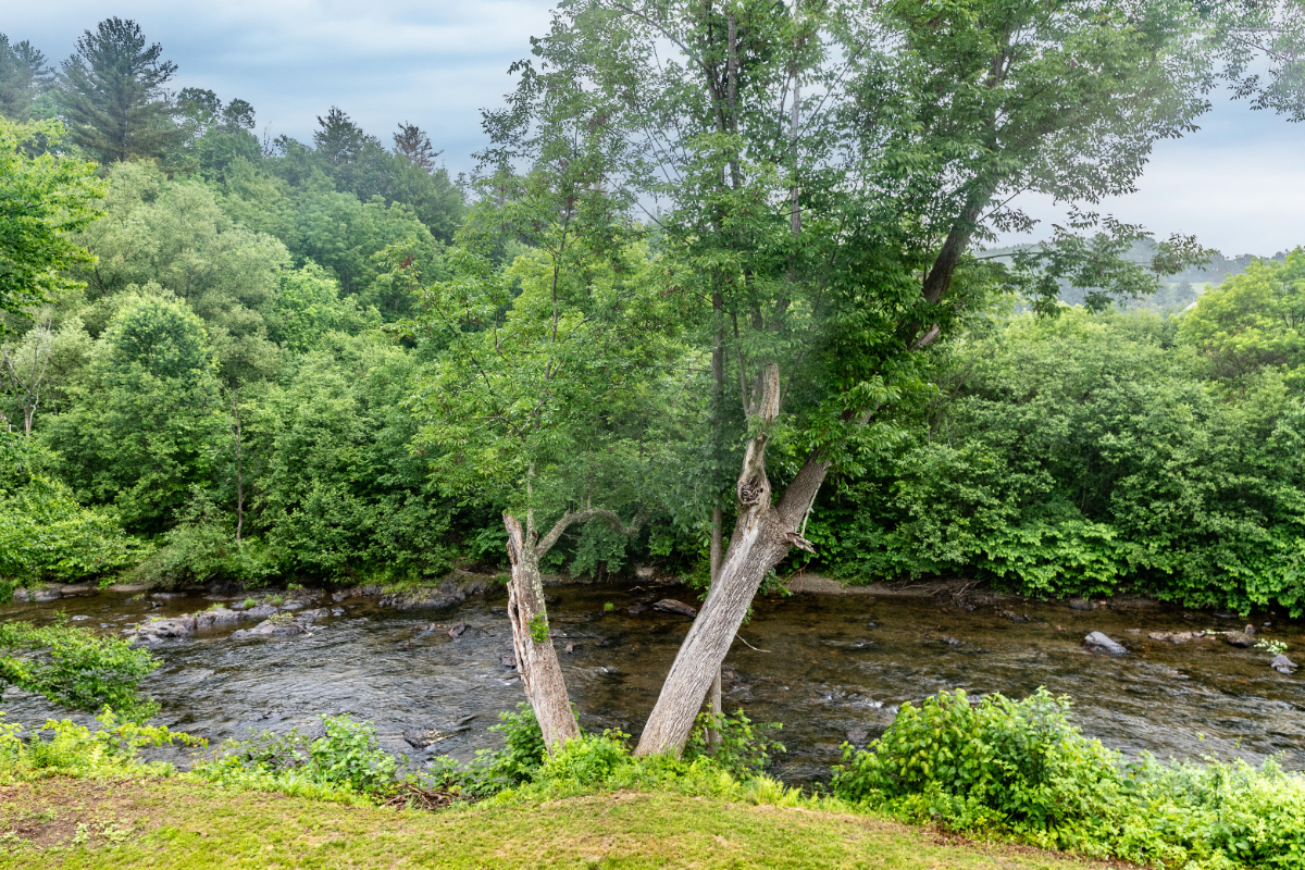 River House One - Photo 7