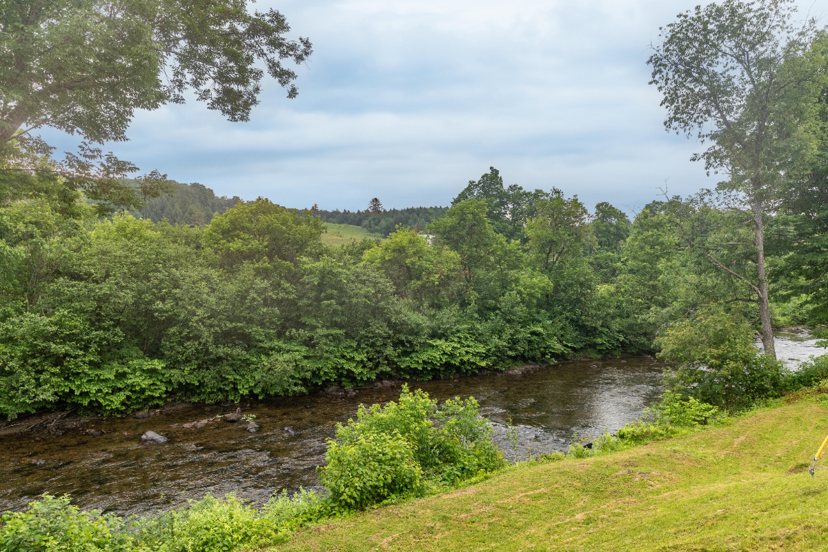 River House One - Photo 8