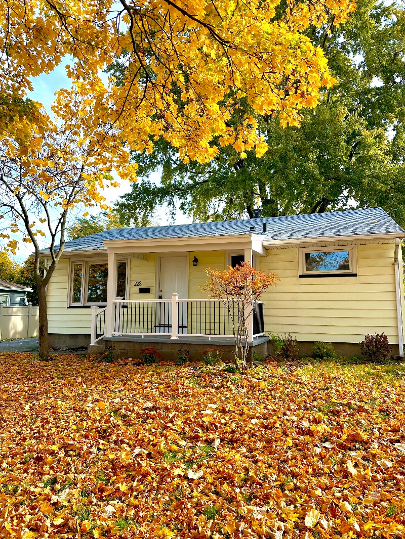Pet Friendly- Newly Renovated- Fully Fenced- 3Bd 1Bth - Photo 9