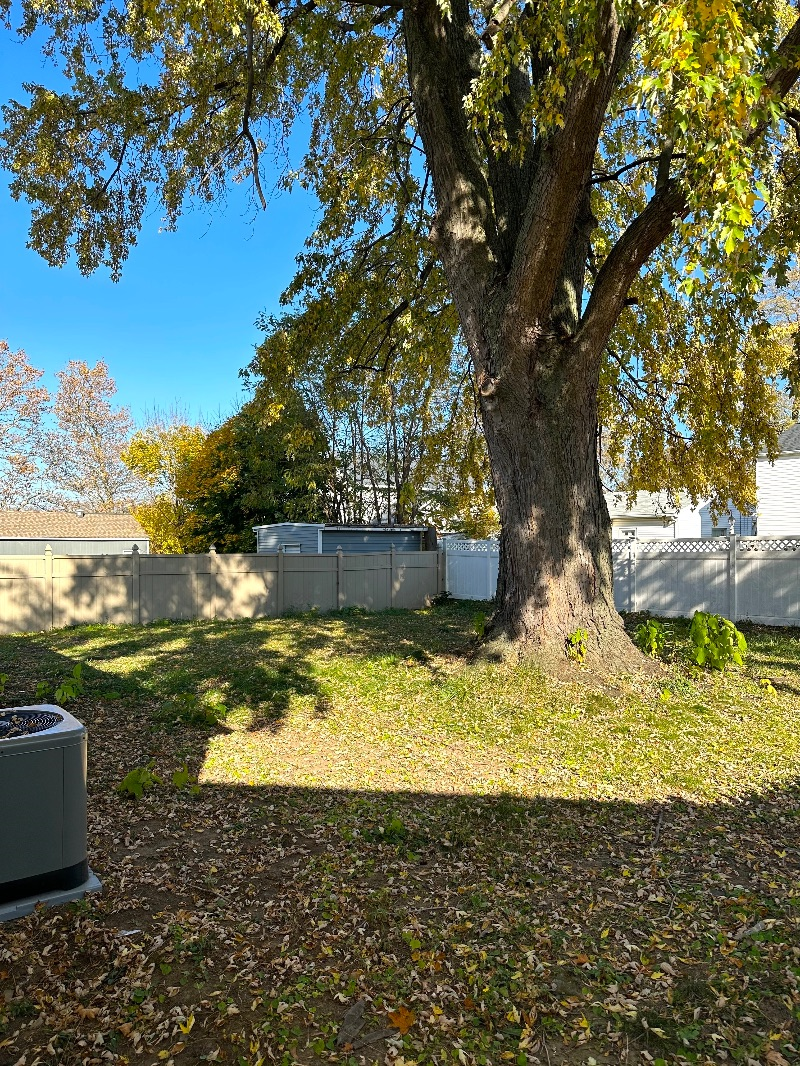 Pet Friendly- Newly Renovated- Fully Fenced- 3Bd 1Bth - Photo 10