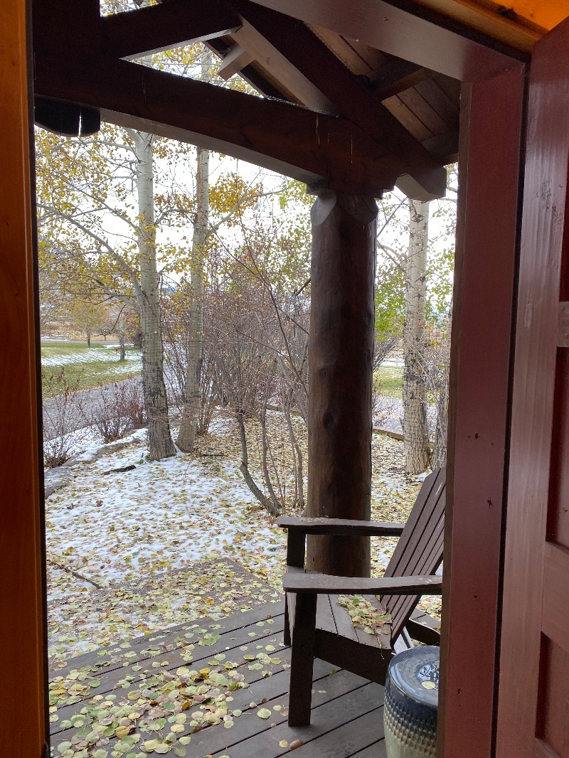 Gorgeous private coach house in Jackson - Photo 12