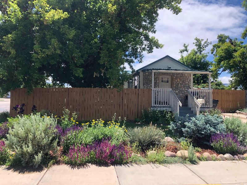 Private, bright, clean home near Main St. - Photo 4