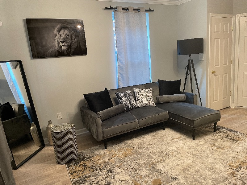 Luxury 2-Bedroom Apartment in the Heart of DC - Photo 2