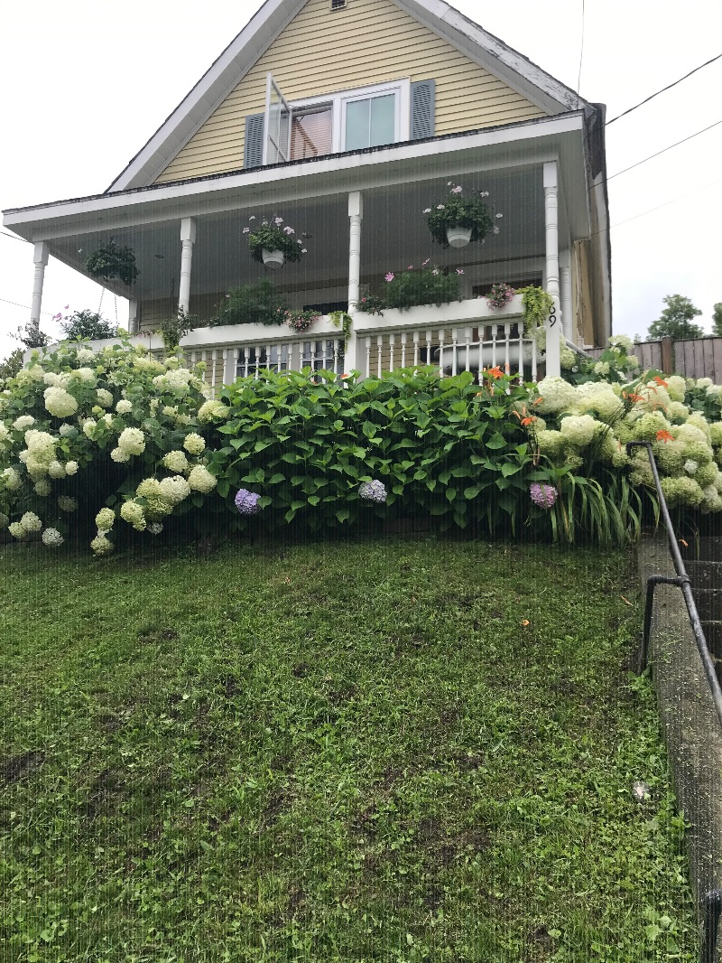 Adorable, cozy historic home 1/2 mile from UVMMC - Photo 9