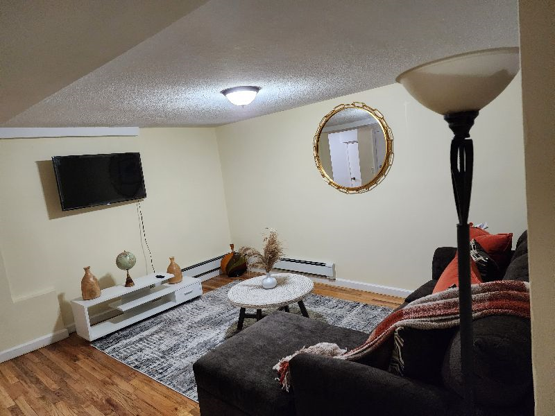 Newly renovated one bedroom apartment, perfect for traveling professionals.  Apartment is located wi - Photo 6