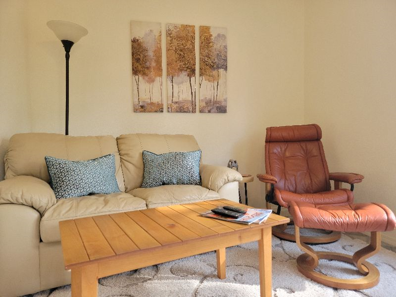 Borders Forest and Trails -Spacious Tree Top Apartment - Photo 4