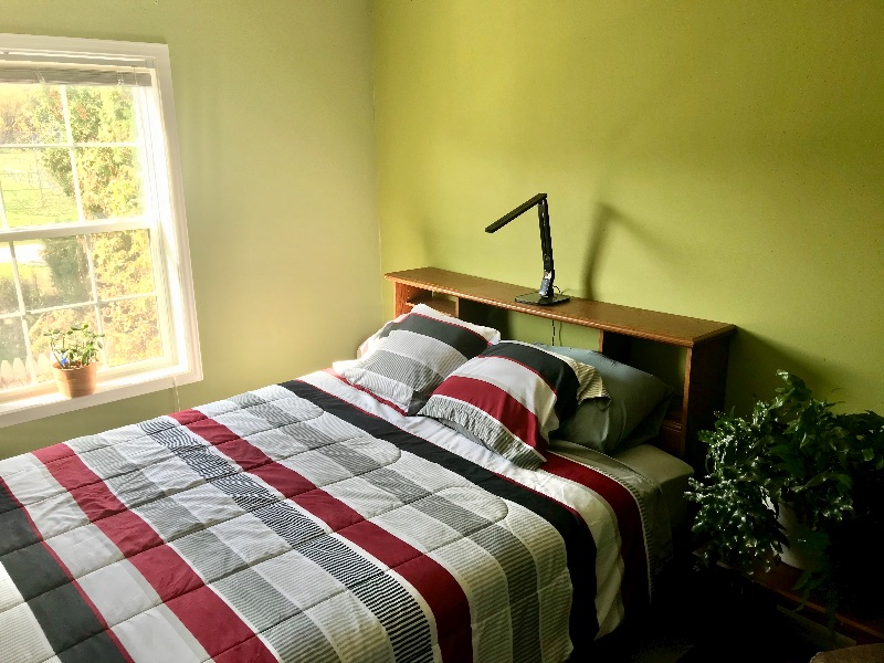 Single family home for rent - Photo 10