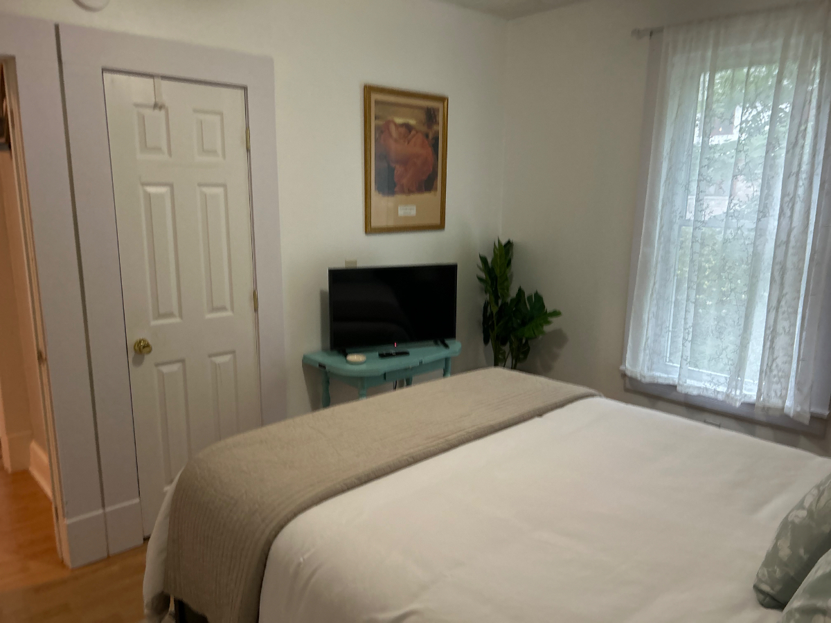 Bridge Street Oasis - Photo 8