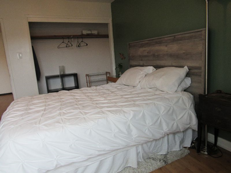 Light-Filled 1-bed Apartment with Backyard and Driveway Parking - Photo 4