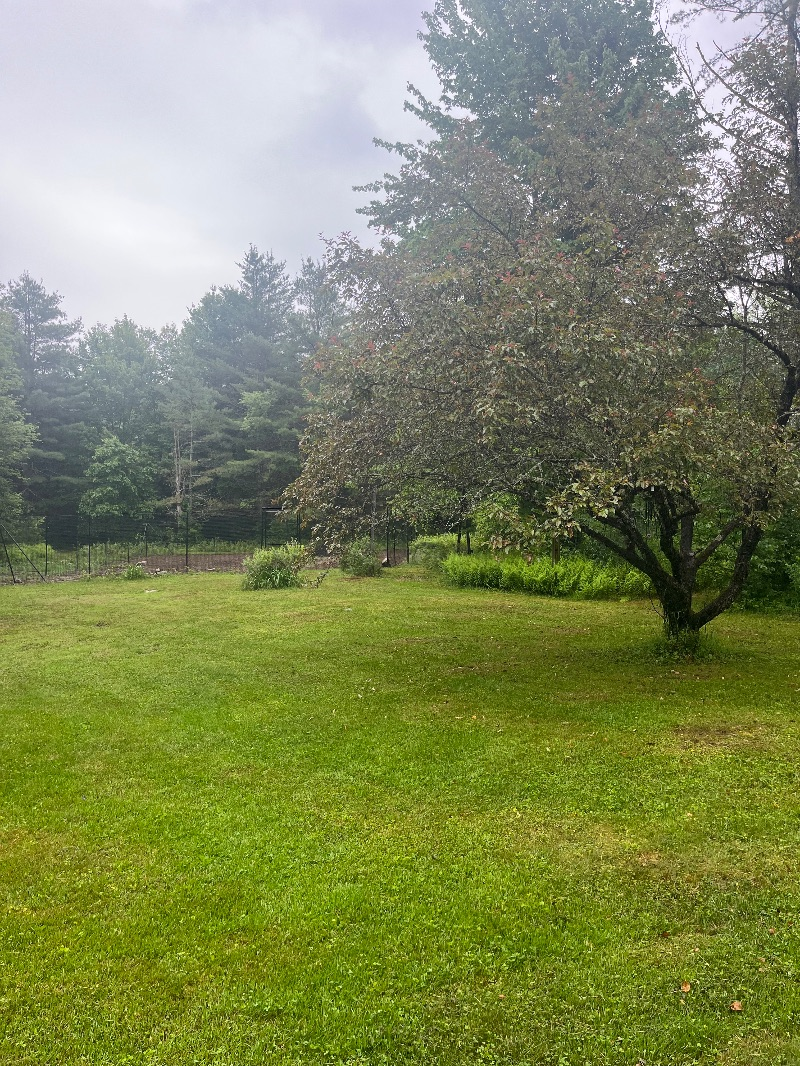 Peaceful two bedroom home on 11 Acres - Photo 11