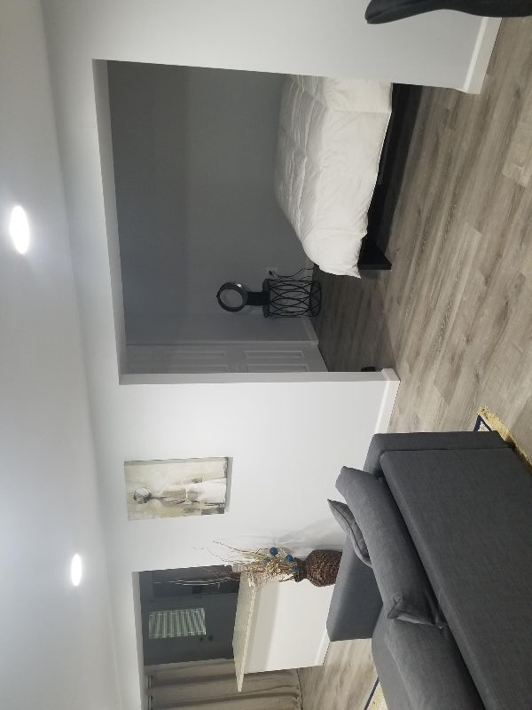 Furnished English Basement Unit in the heart of Columbia Heights - Photo 2