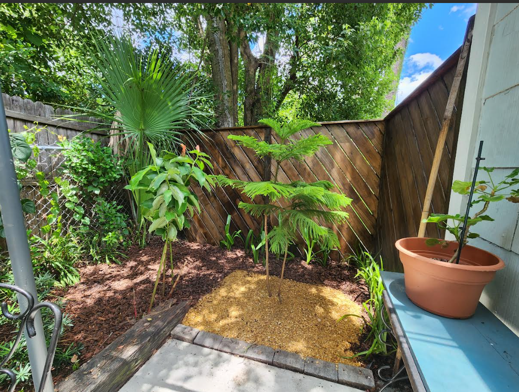 Cozy Cottage in trendy Murray Hill - Photo 2
