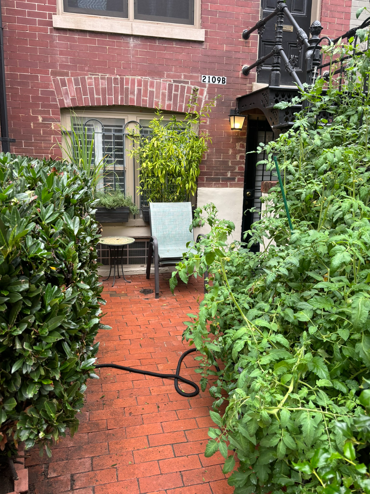Dupont Studio - Photo 11