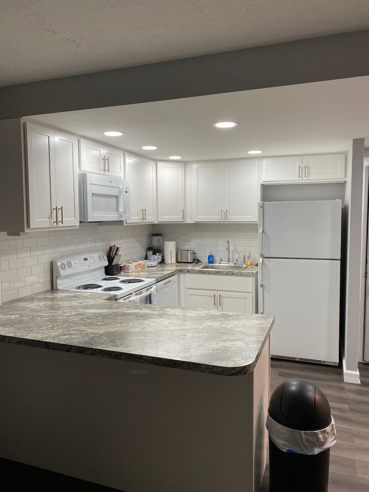 Fully Furnished Newly Renovated One Bedroom Condo - Photo 7