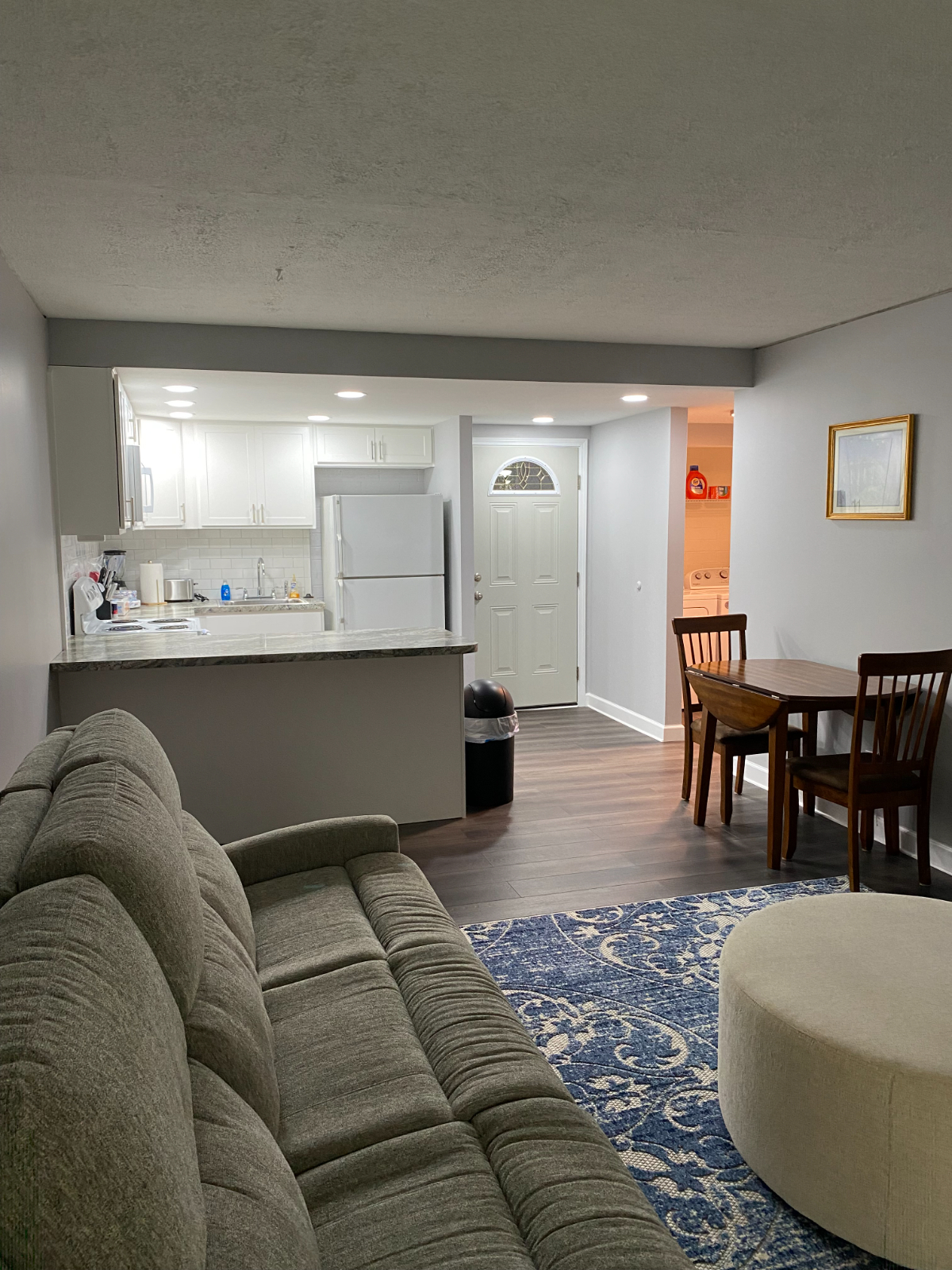 Fully Furnished Newly Renovated One Bedroom Condo - Photo 2