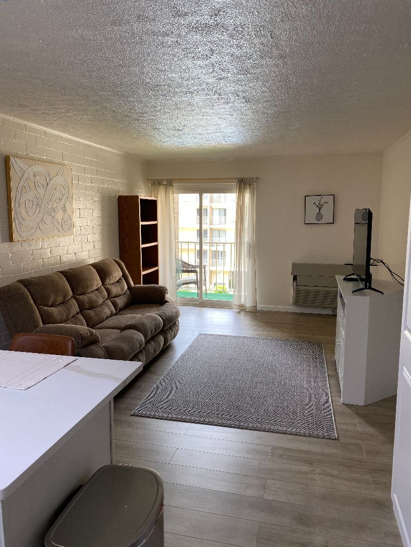 Fully Furnished Newly Renovated One Bedroom Condo - Photo 5