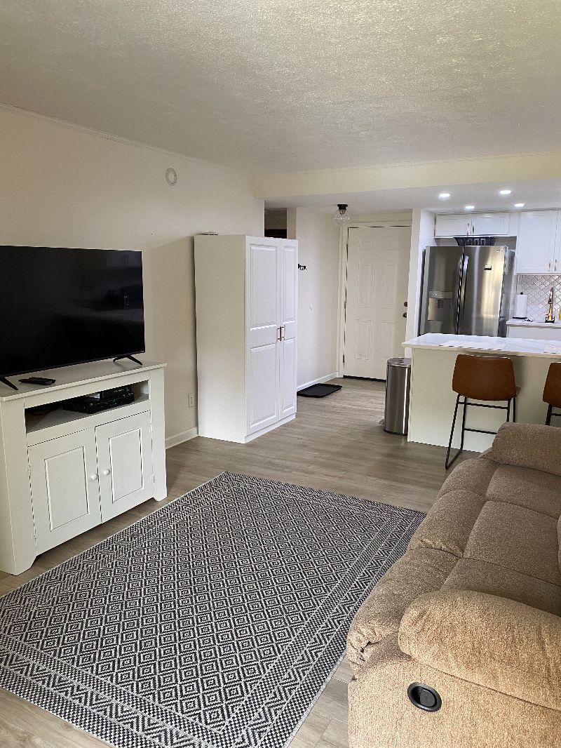 Fully Furnished Newly Renovated One Bedroom Condo - Photo 4