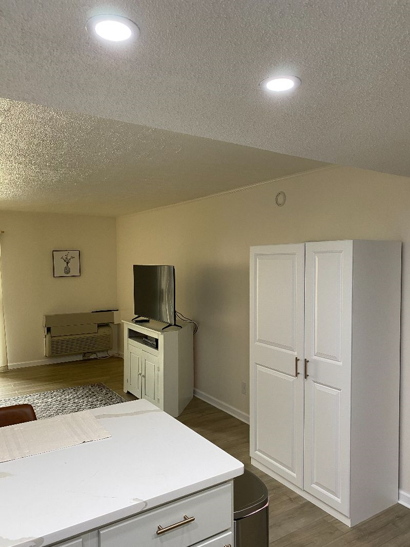 Fully Furnished Newly Renovated One Bedroom Condo - Photo 3