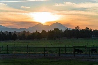 Quiet private Bunkhouse / Guest house on Ranch - Photo 4