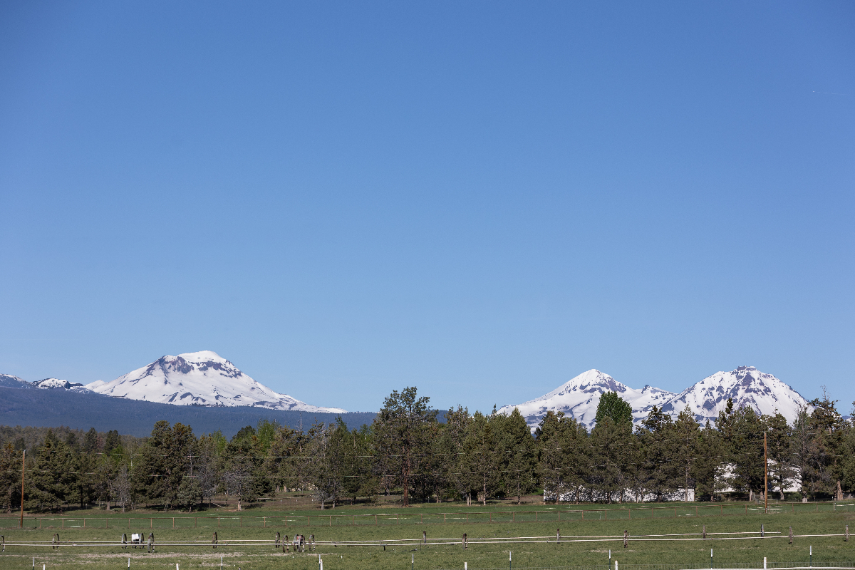 Quiet private Bunkhouse / Guest house on Ranch - Photo 1