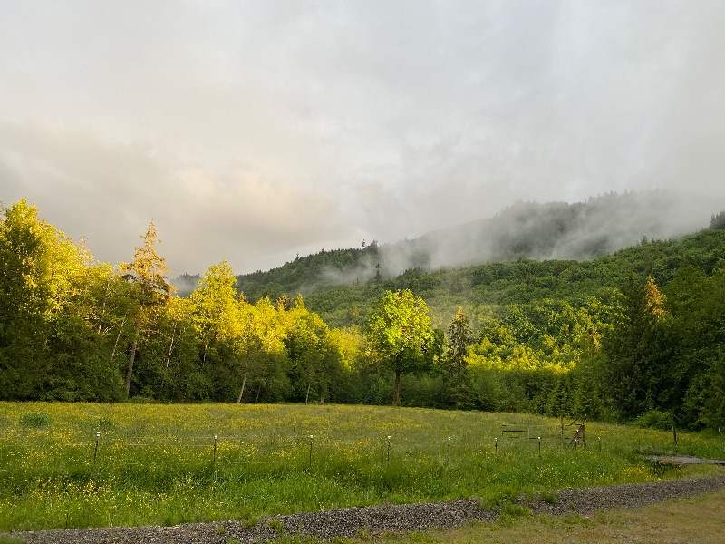 Beautiful Studio on 5 acres