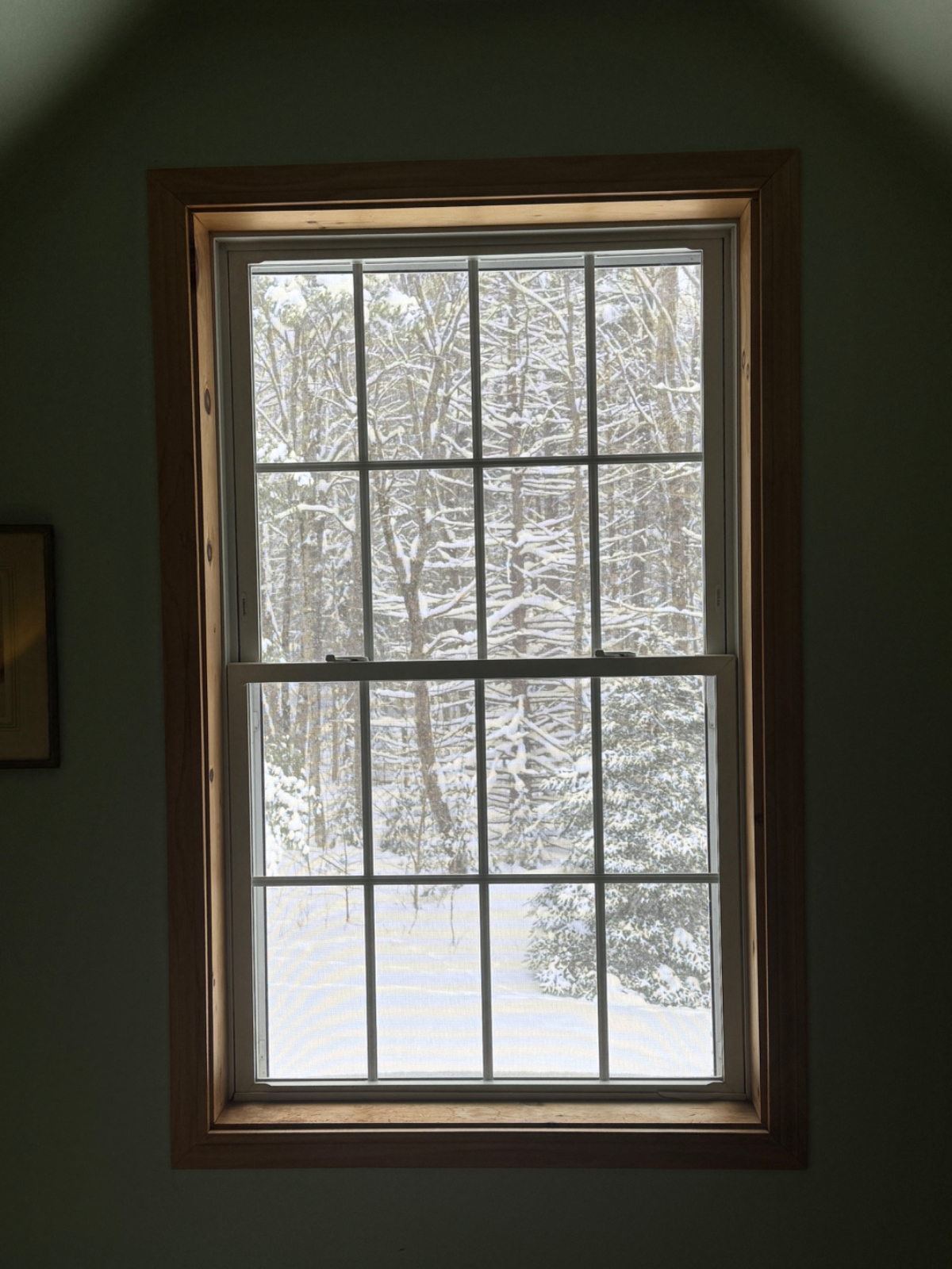The Green Door - Photo 11
