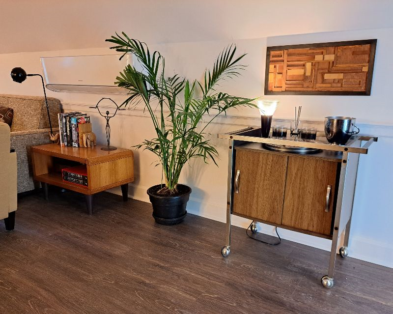 1 BR APT w/ W&D ON 12 ACRE FARM - Photo 7