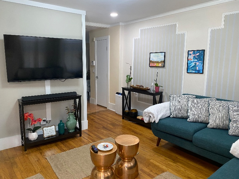 Modern  Cozy Cntr Square Townhouse Gem from 1854 - Photo 3