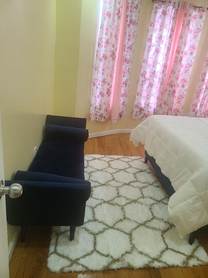 Furnished Housing for Professionals 2BR or 4BR Option Brooklyn - Photo 1