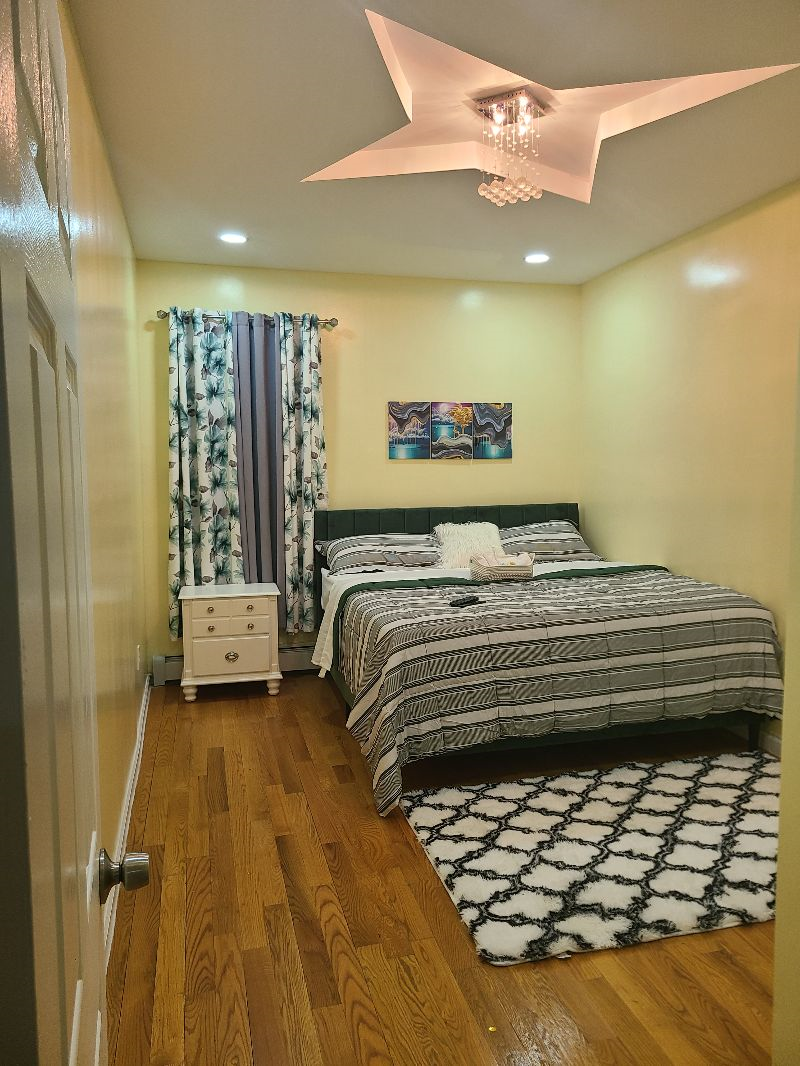 Furnished Housing for Professionals  2BR or 4BR Option Brooklyn - Photo 12