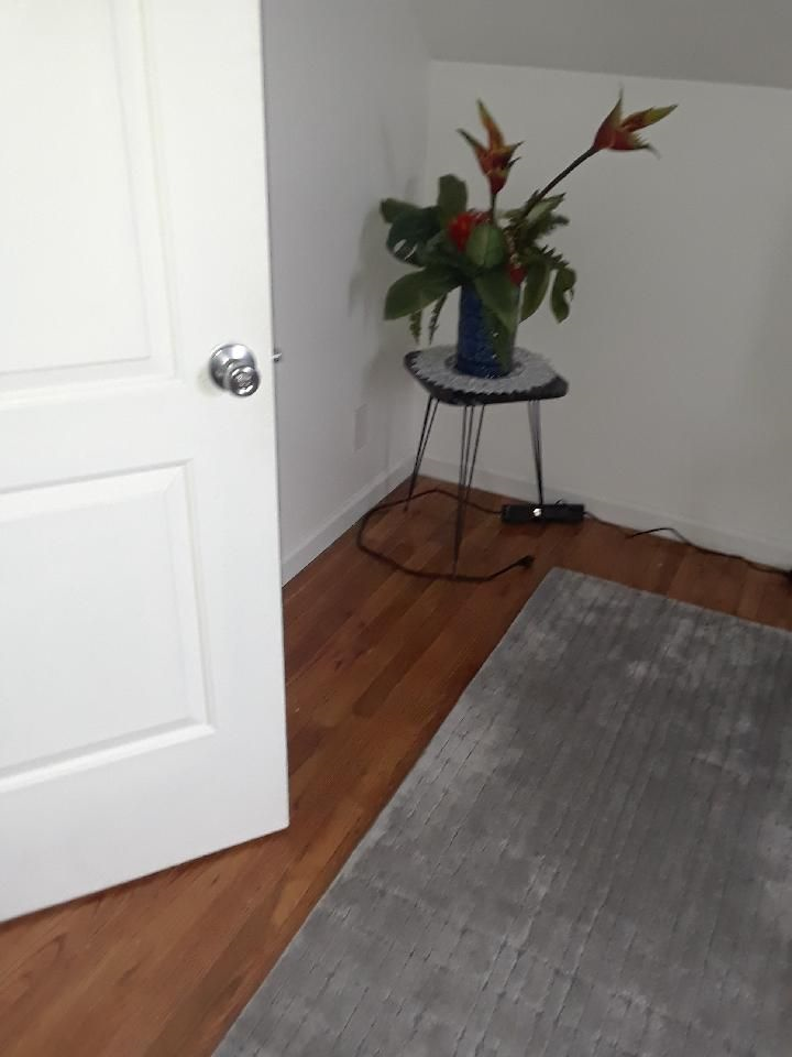 Private Room Available in Uniquely Charming yet Stylish Home - Photo 5