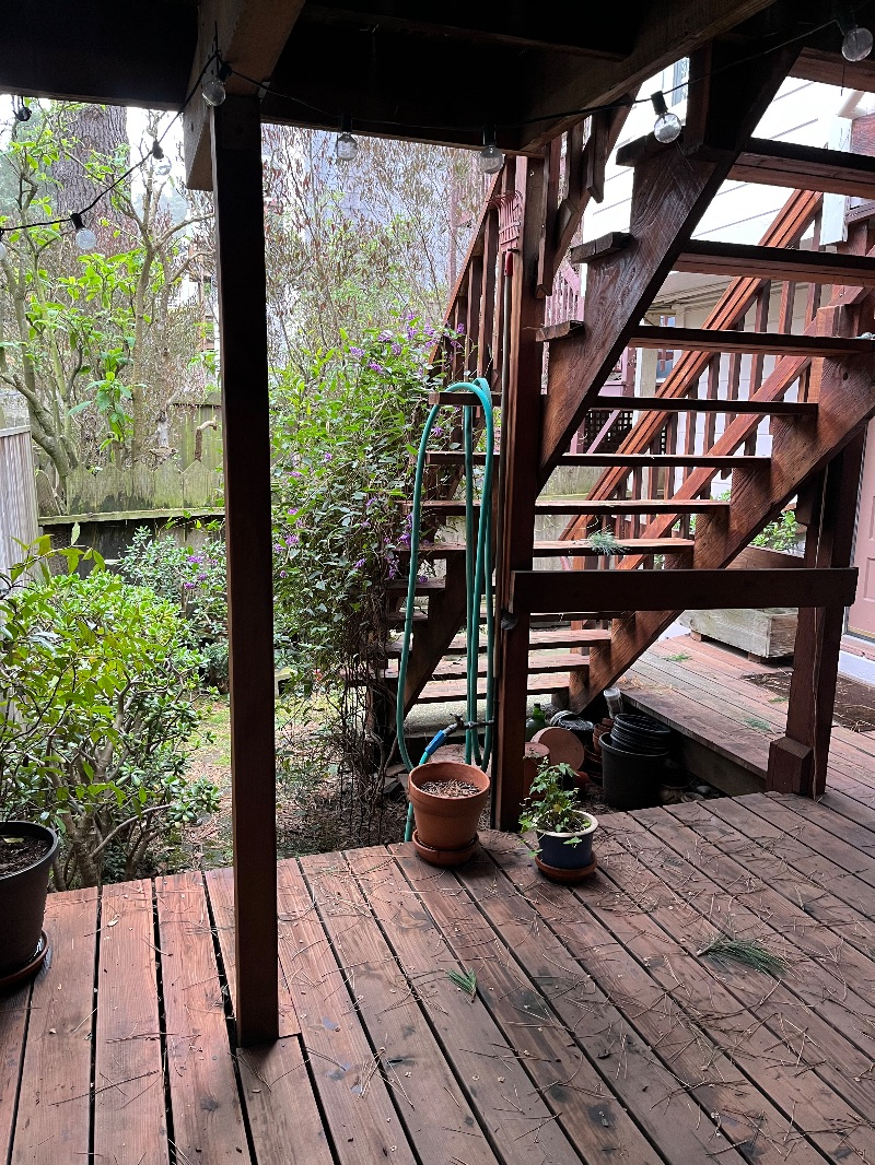Garden apartment - Photo 3