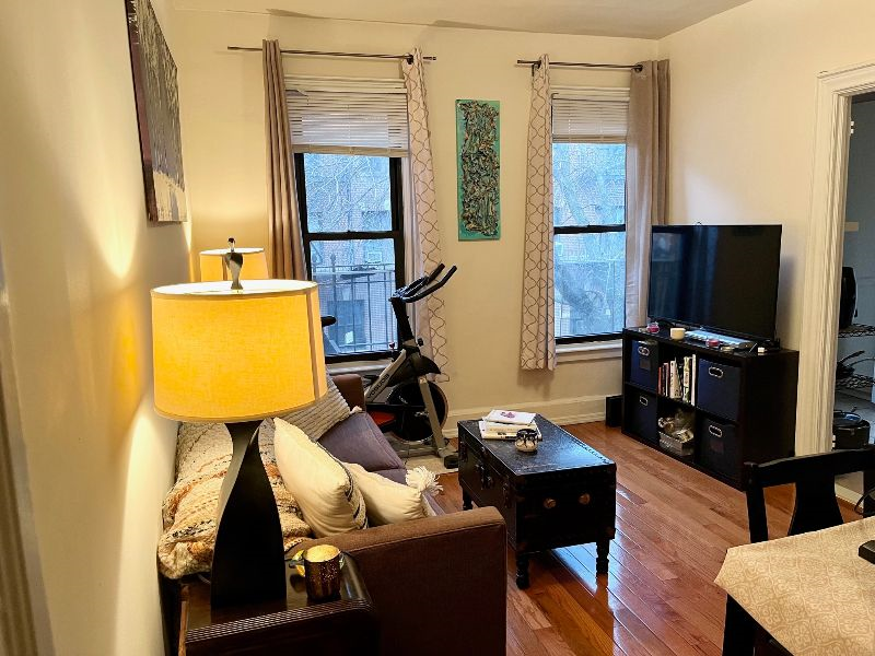 Charming Furnished 1 Bedroom Apt in LIC/Astoria - Photo 1
