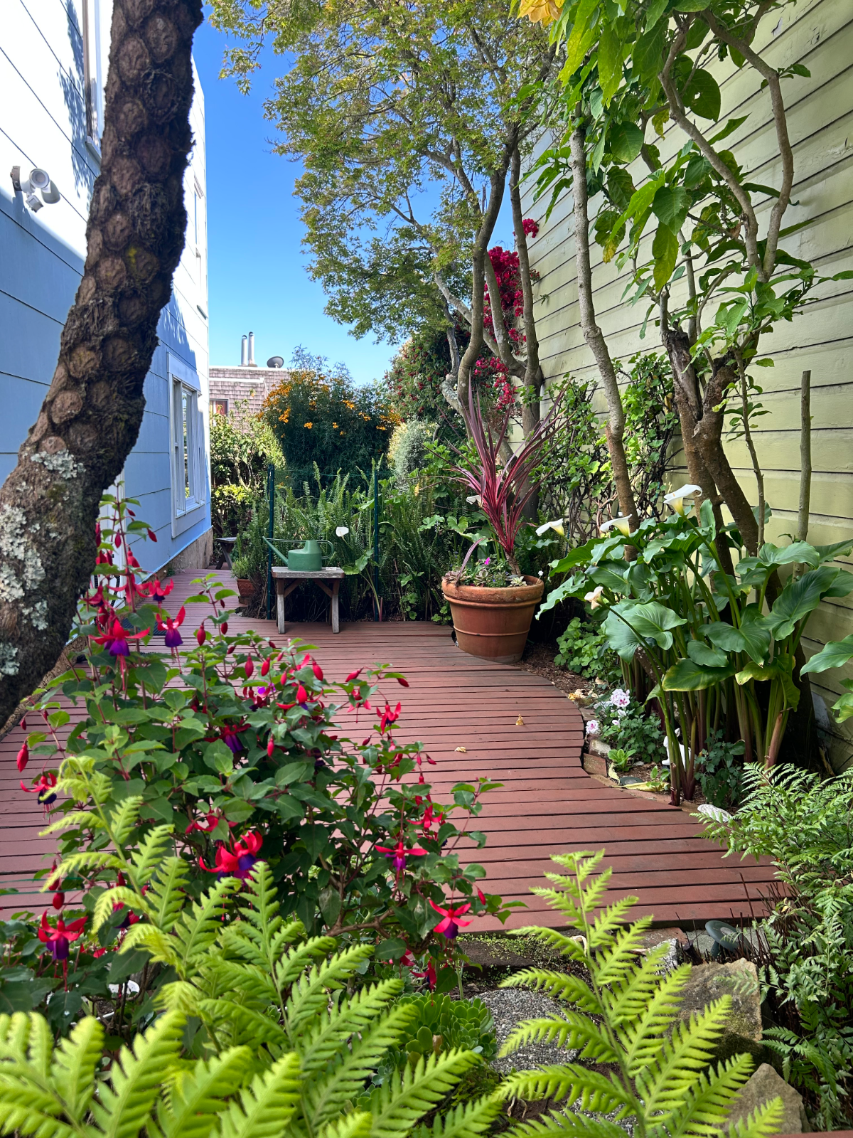 Peaceful, Light-Filled Studio with a Blooming Garden - Photo 5