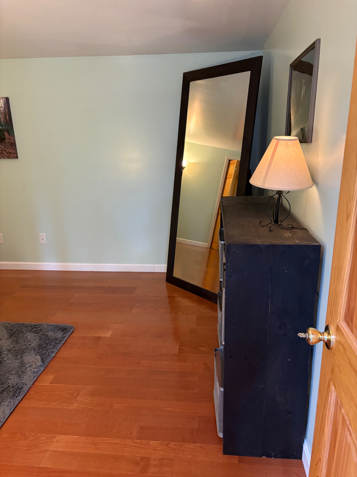 Pet friendly, Hinesburg basement apartment for rent. - Photo 7