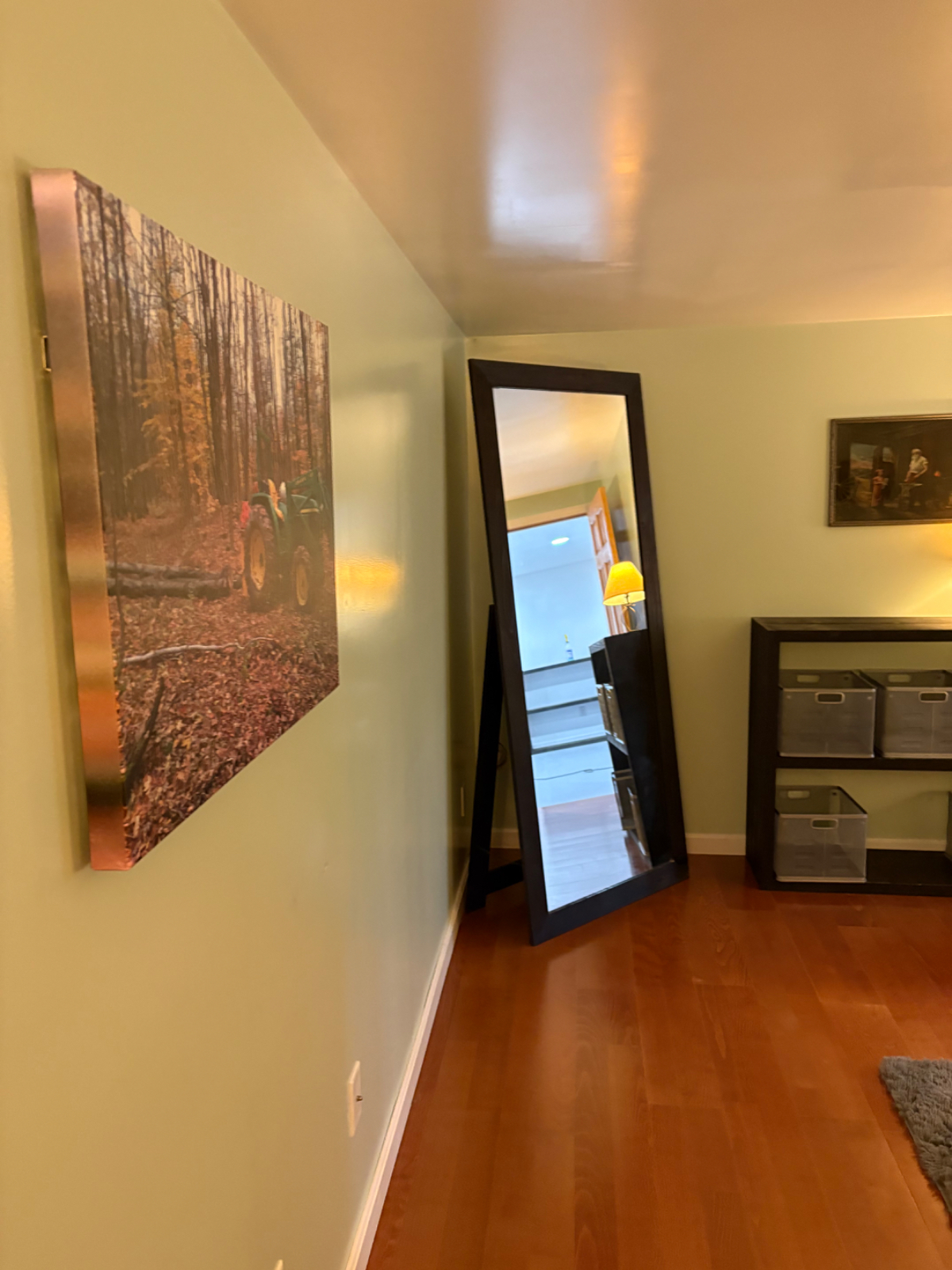 Pet friendly, Hinesburg basement apartment for rent. - Photo 12