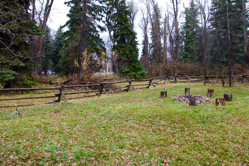 Cozy Log Cabin in 1/2 acre - Photo 2
