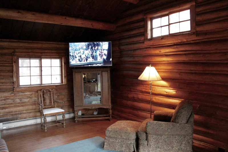 Cozy Log Cabin in 1/2 acre - Photo 3